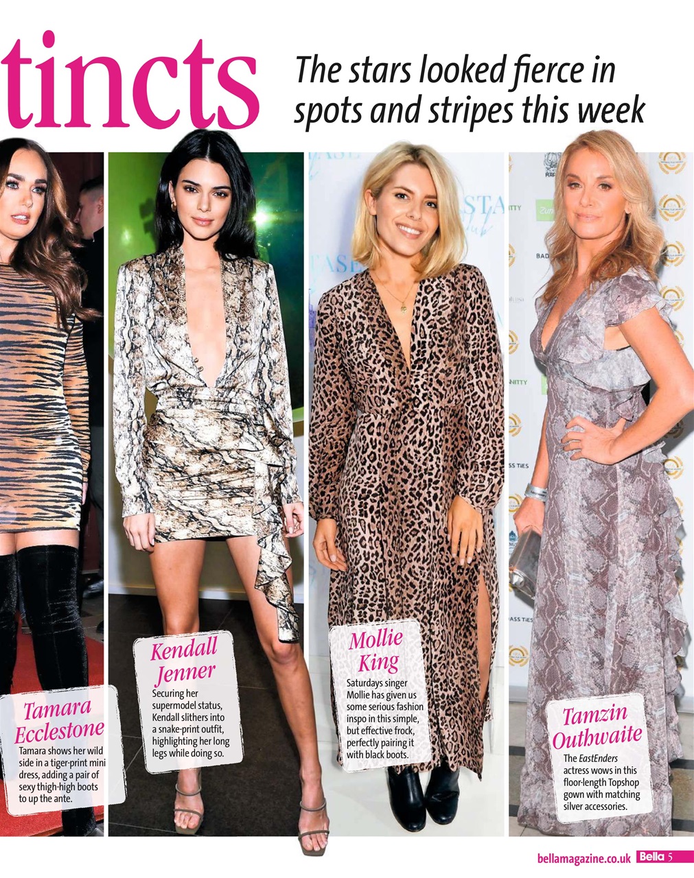 Bella Magazine Preview Pages