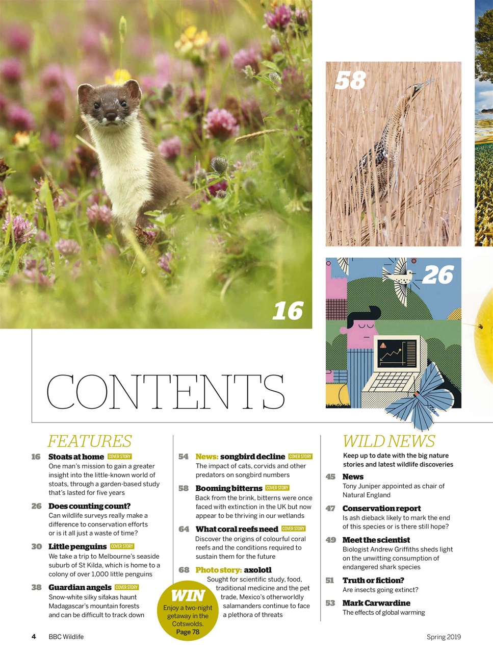 BBC Wildlife Magazine Preview Pages