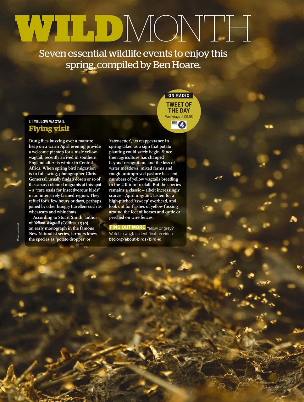 BBC Wildlife Magazine Preview Pages