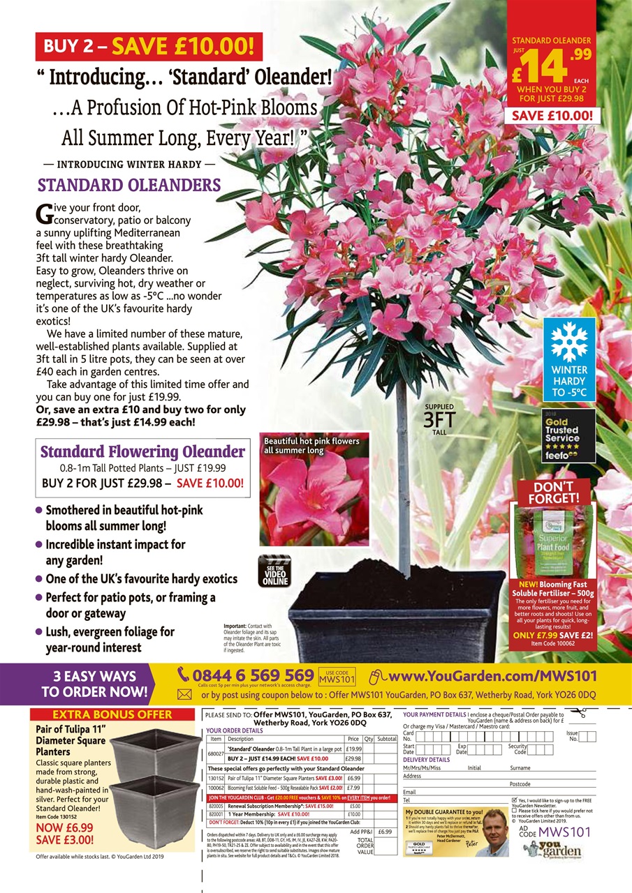 My Weekly Special Preview Pages