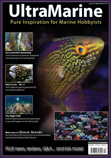 UltraMarine Magazine issue 