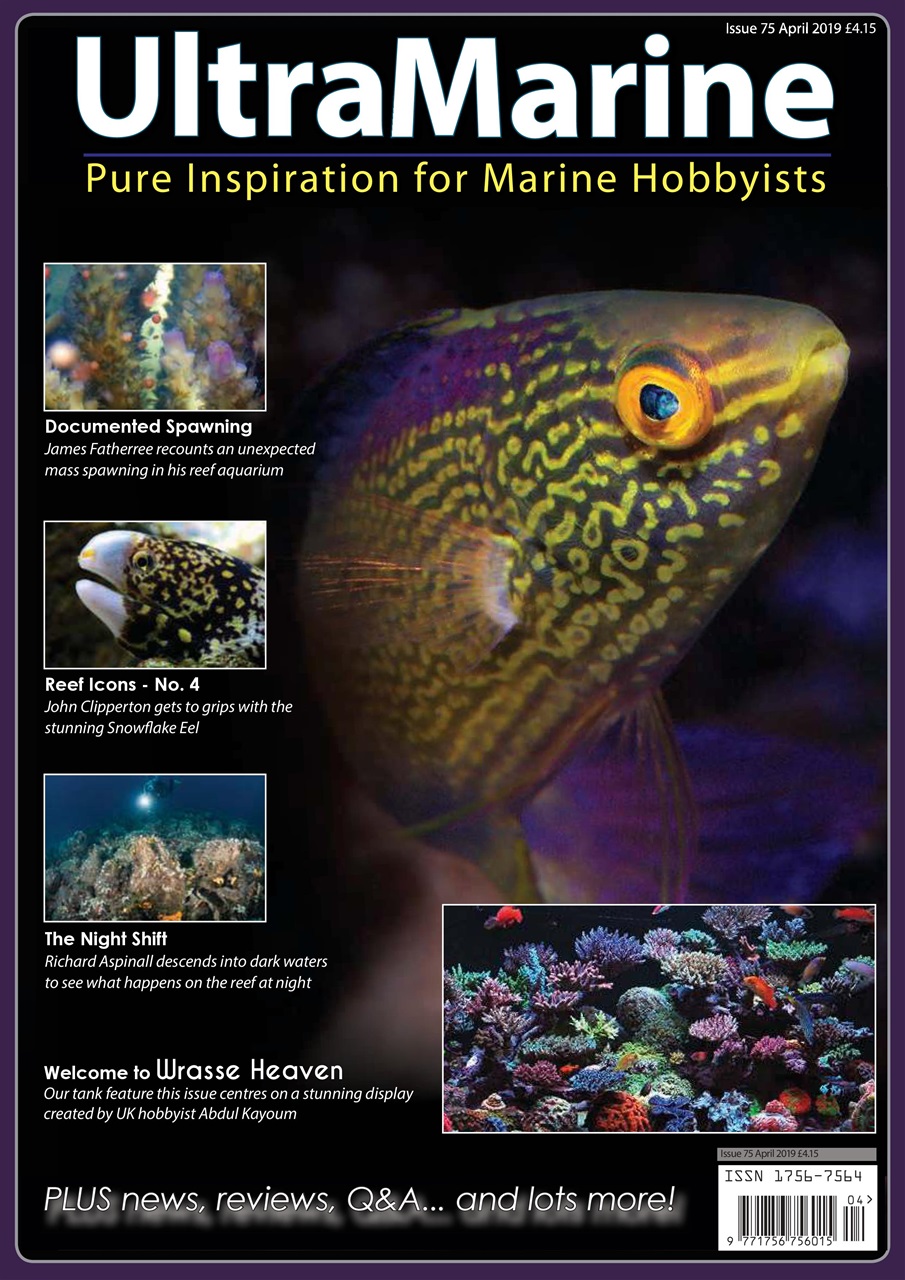 UltraMarine Magazine Preview Pages
