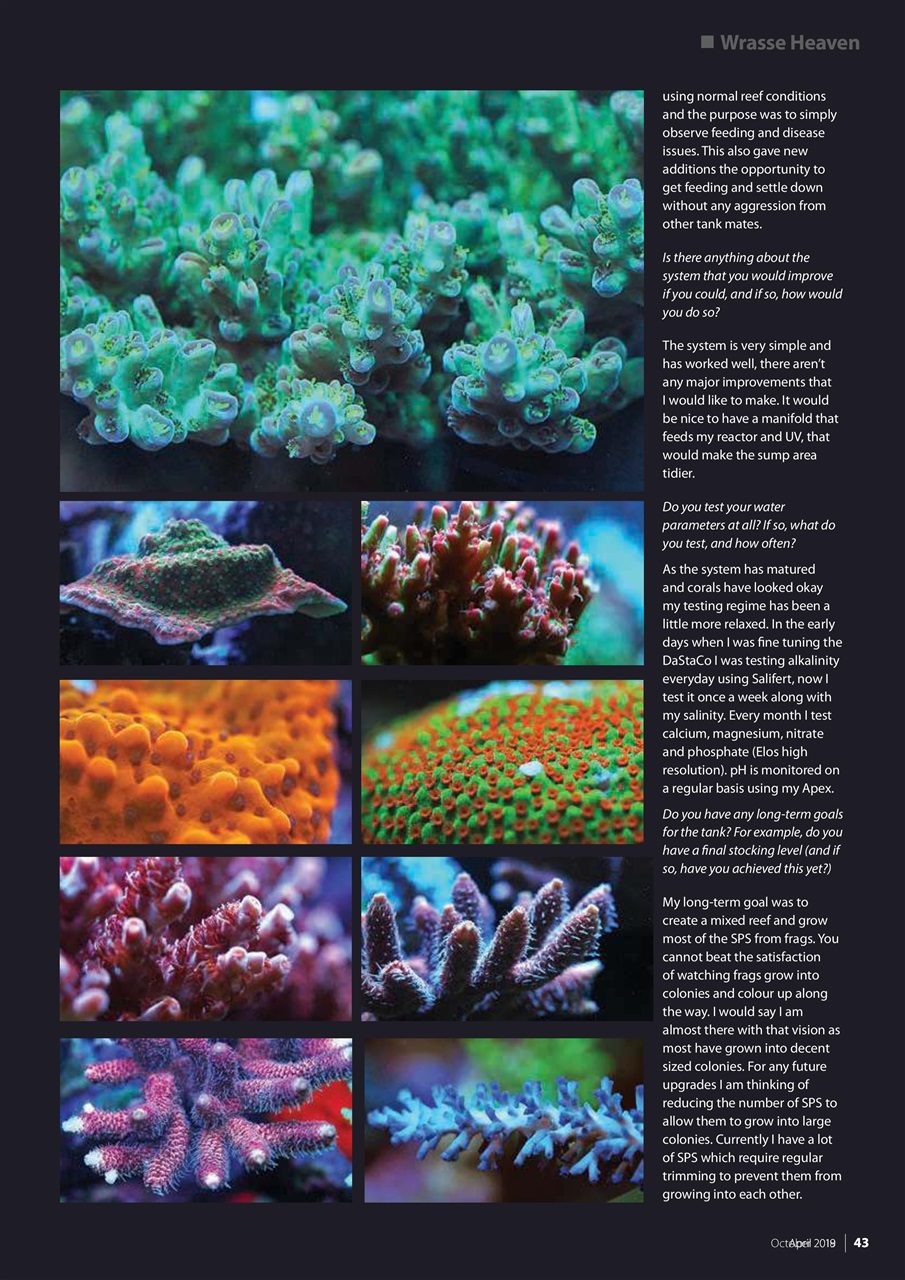 UltraMarine Magazine Preview Pages