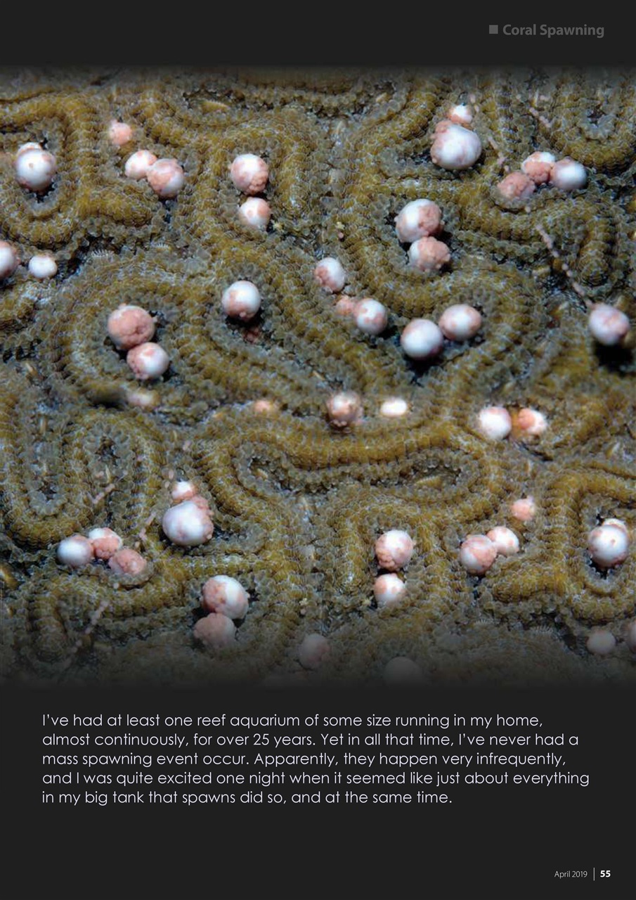 UltraMarine Magazine Preview Pages