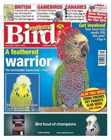 Cage & Aviary Birds issue 17/04/2019