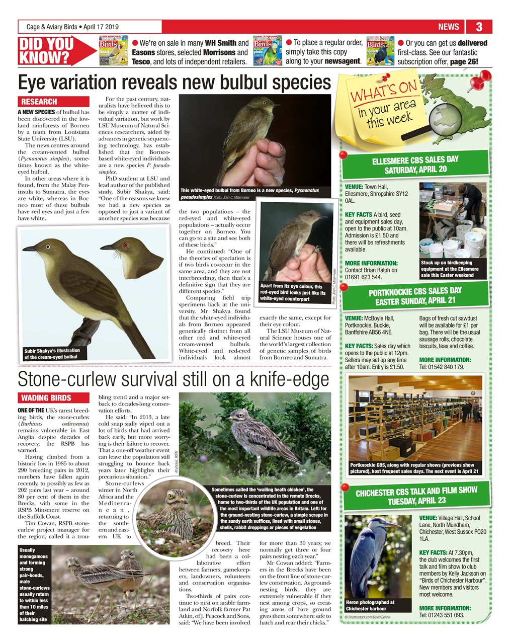 Cage & Aviary Birds Preview Pages