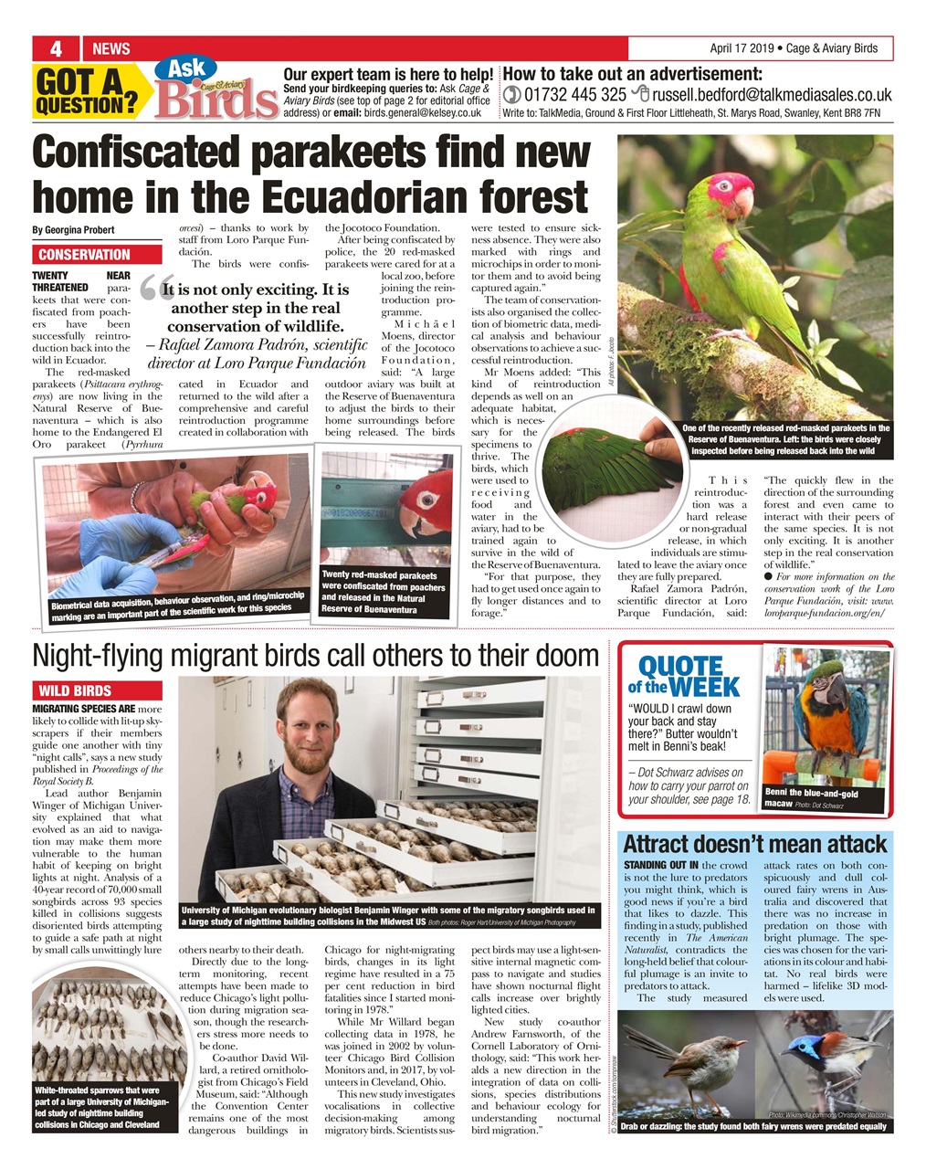 Cage & Aviary Birds Preview Pages