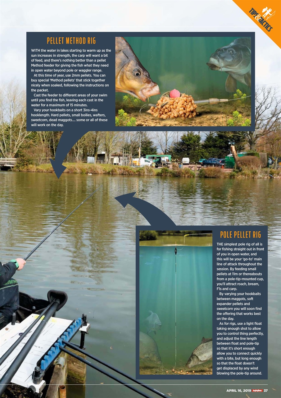 Angling Times Preview Pages