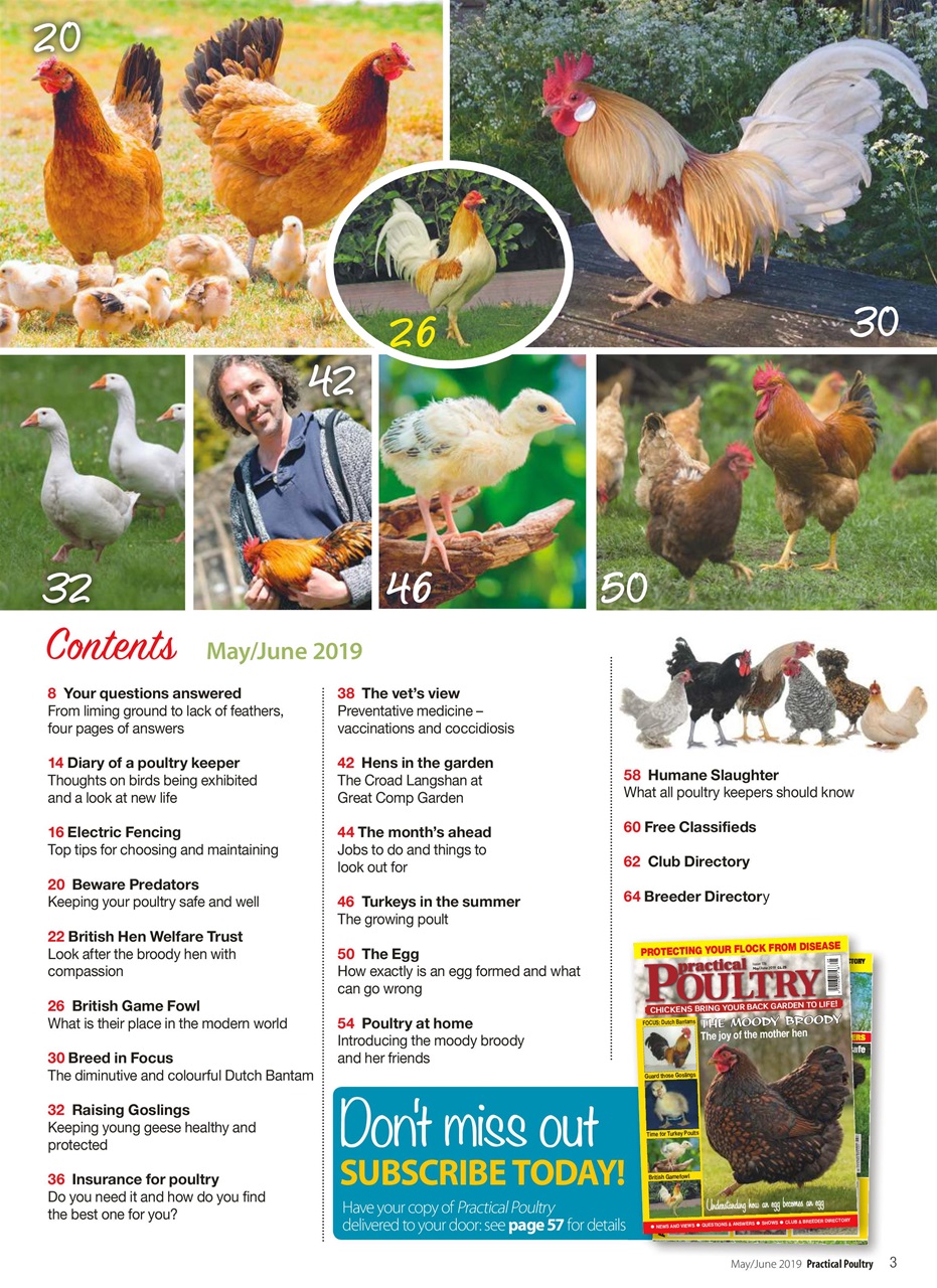 Practical Poultry Preview Pages