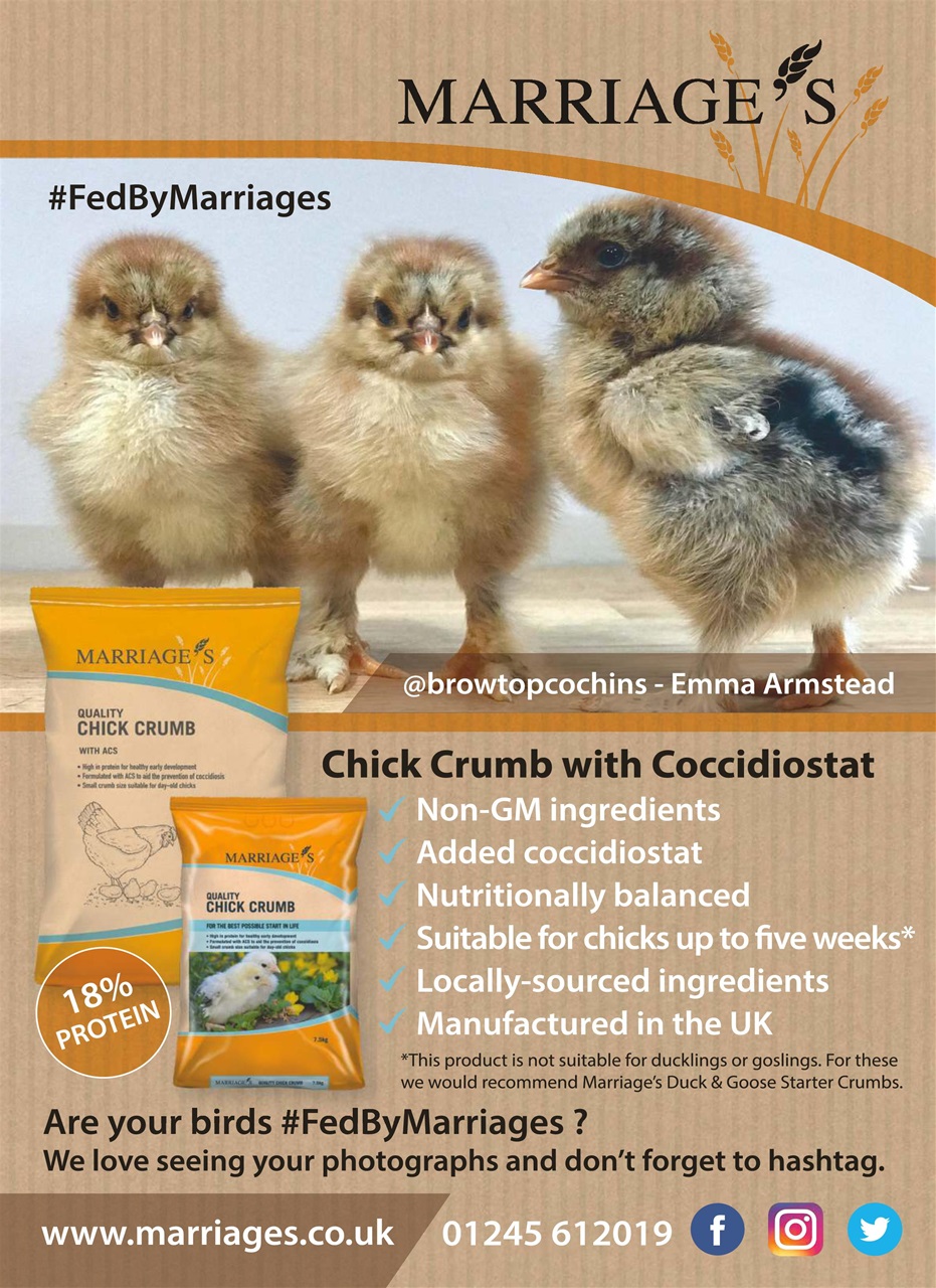 Practical Poultry Preview Pages