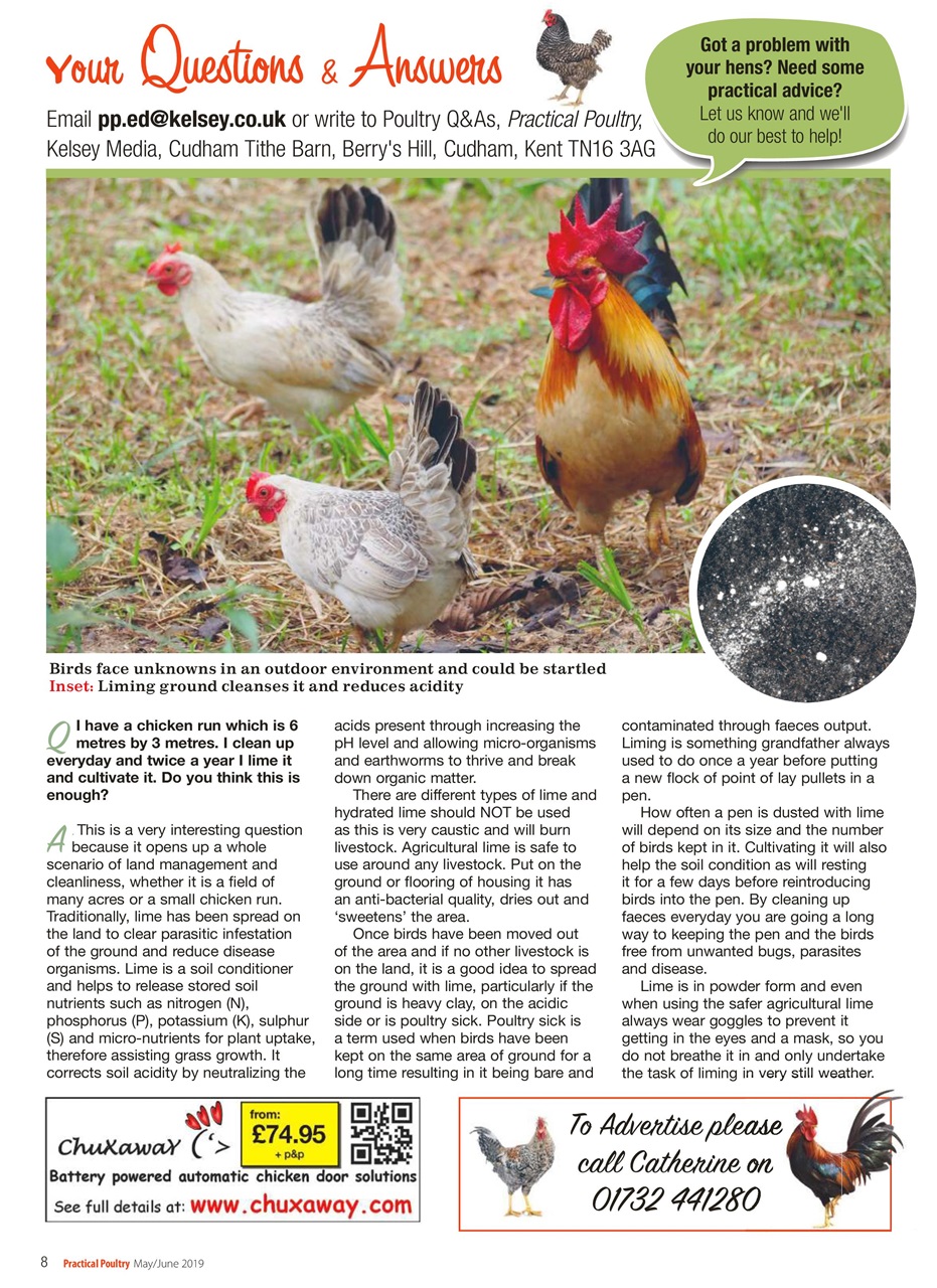 Practical Poultry Preview Pages
