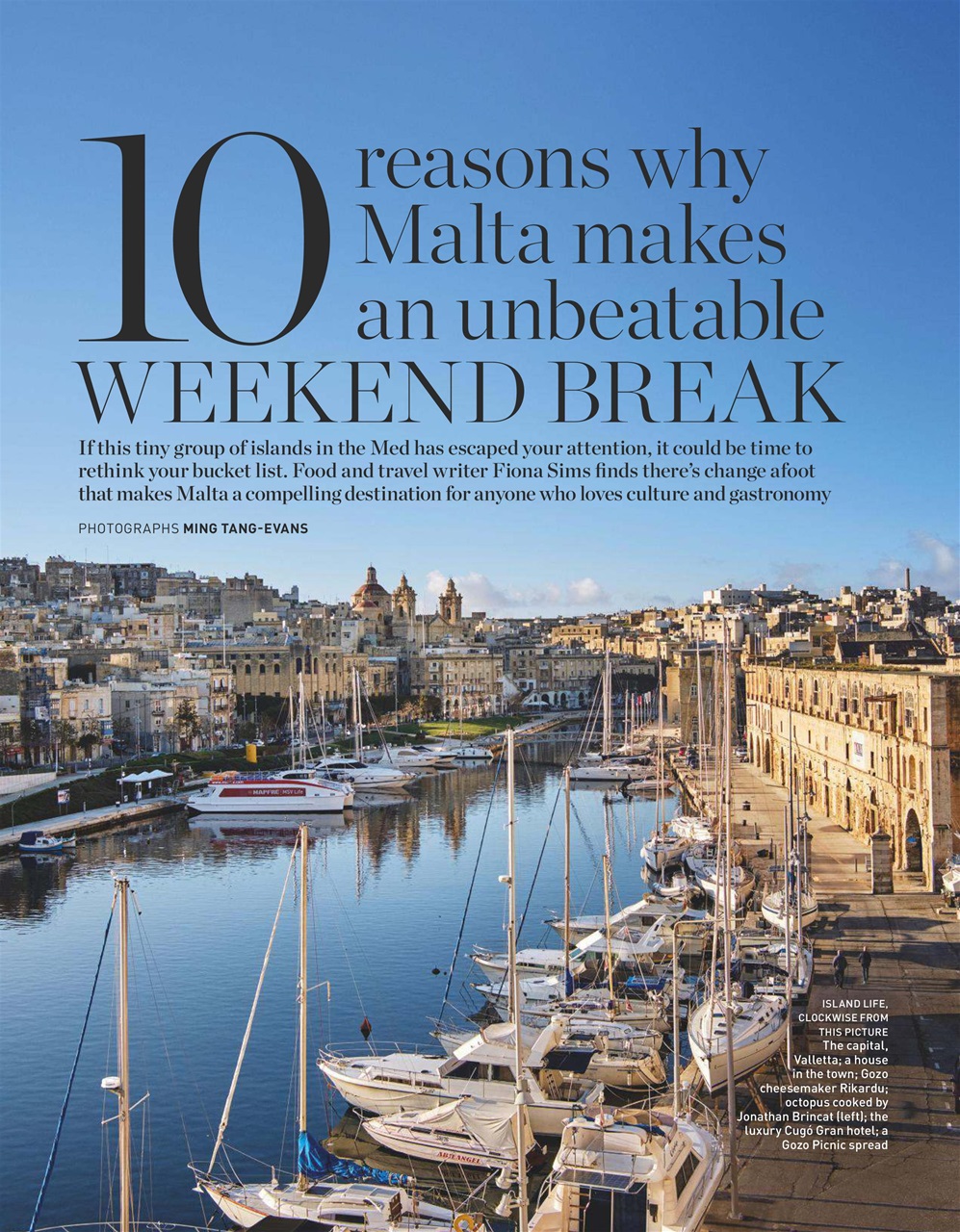 delicious. Magazine Preview Pages