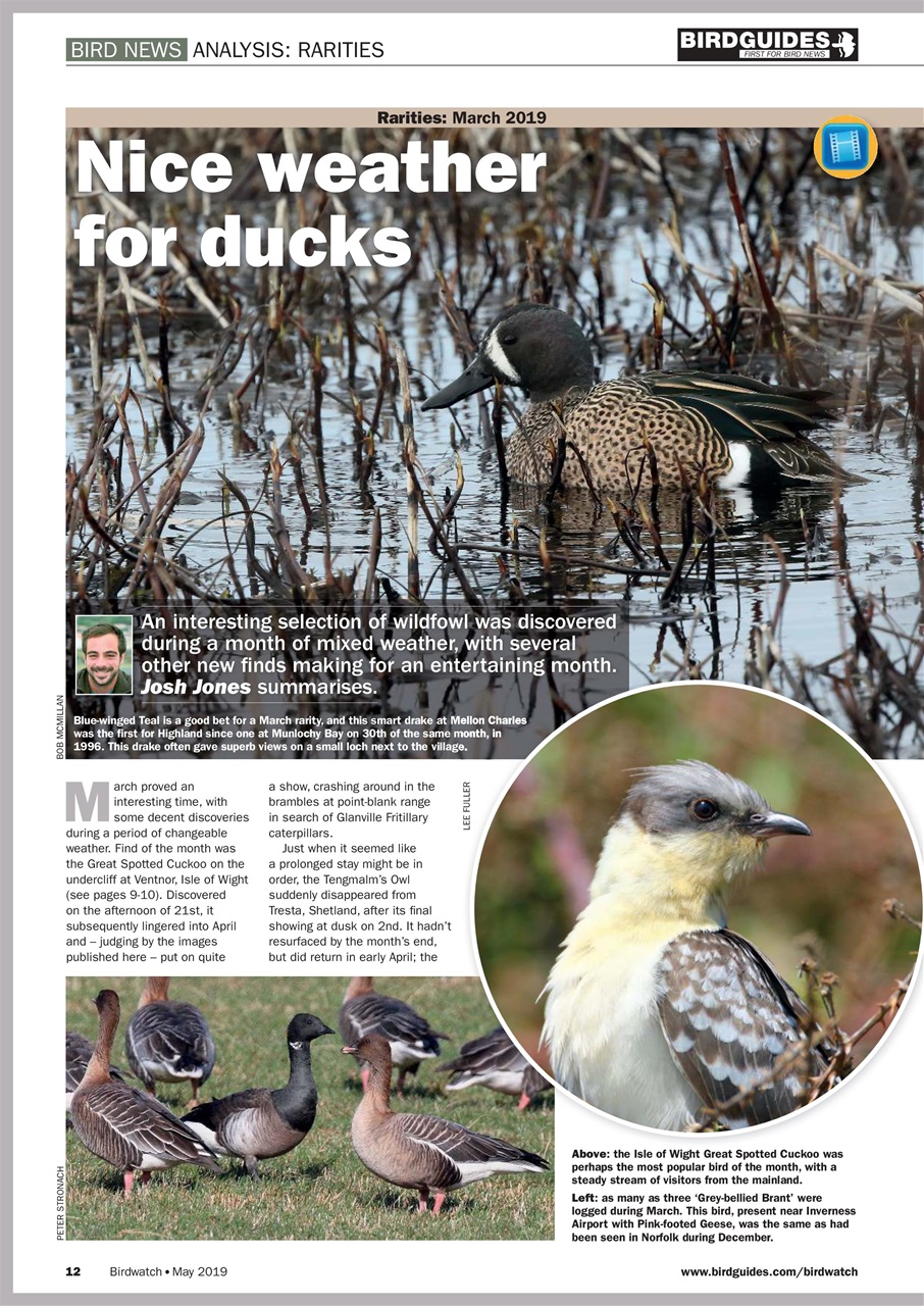 Birdwatch Magazine Preview Pages