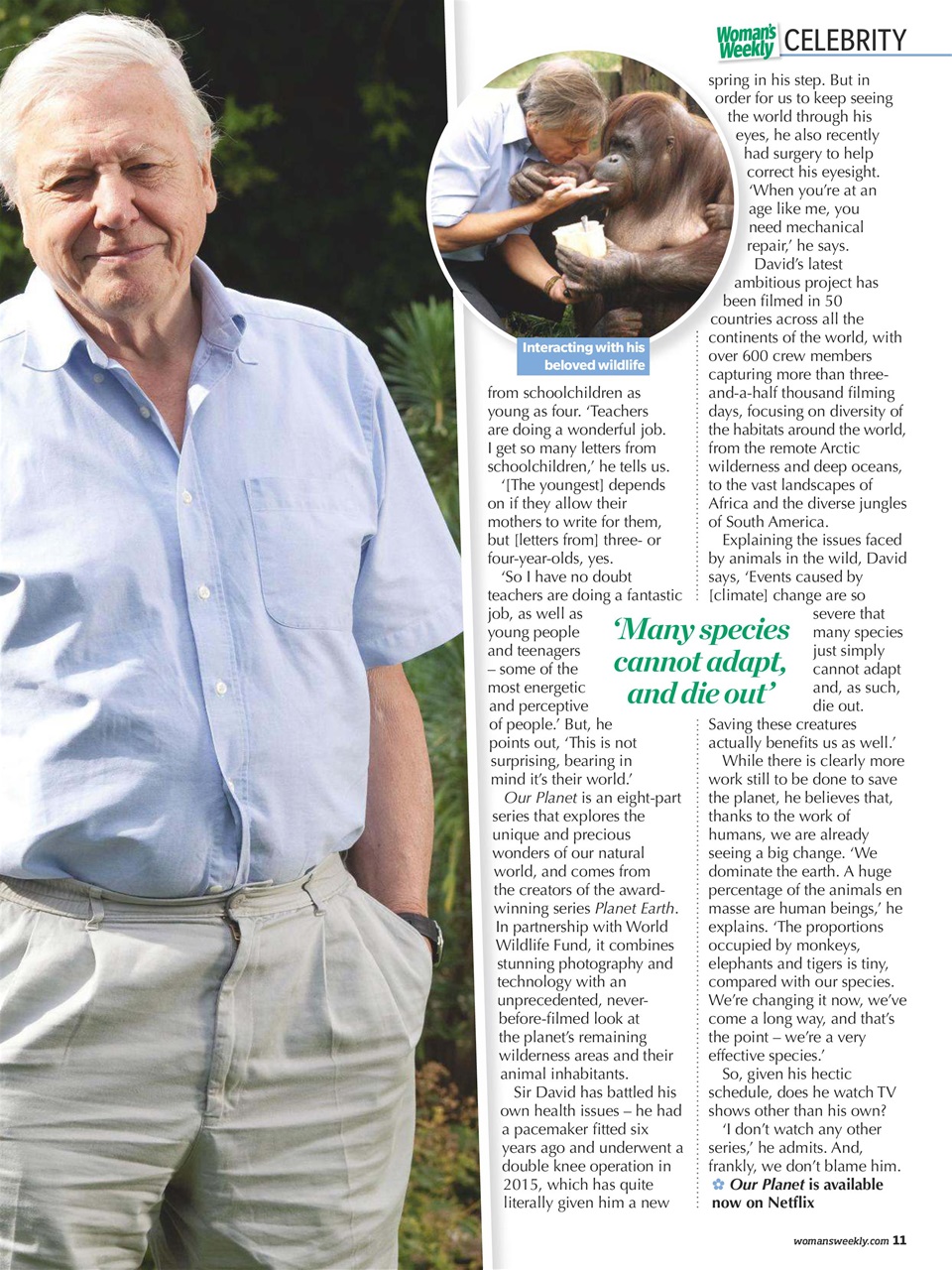 Woman's Weekly Preview Pages