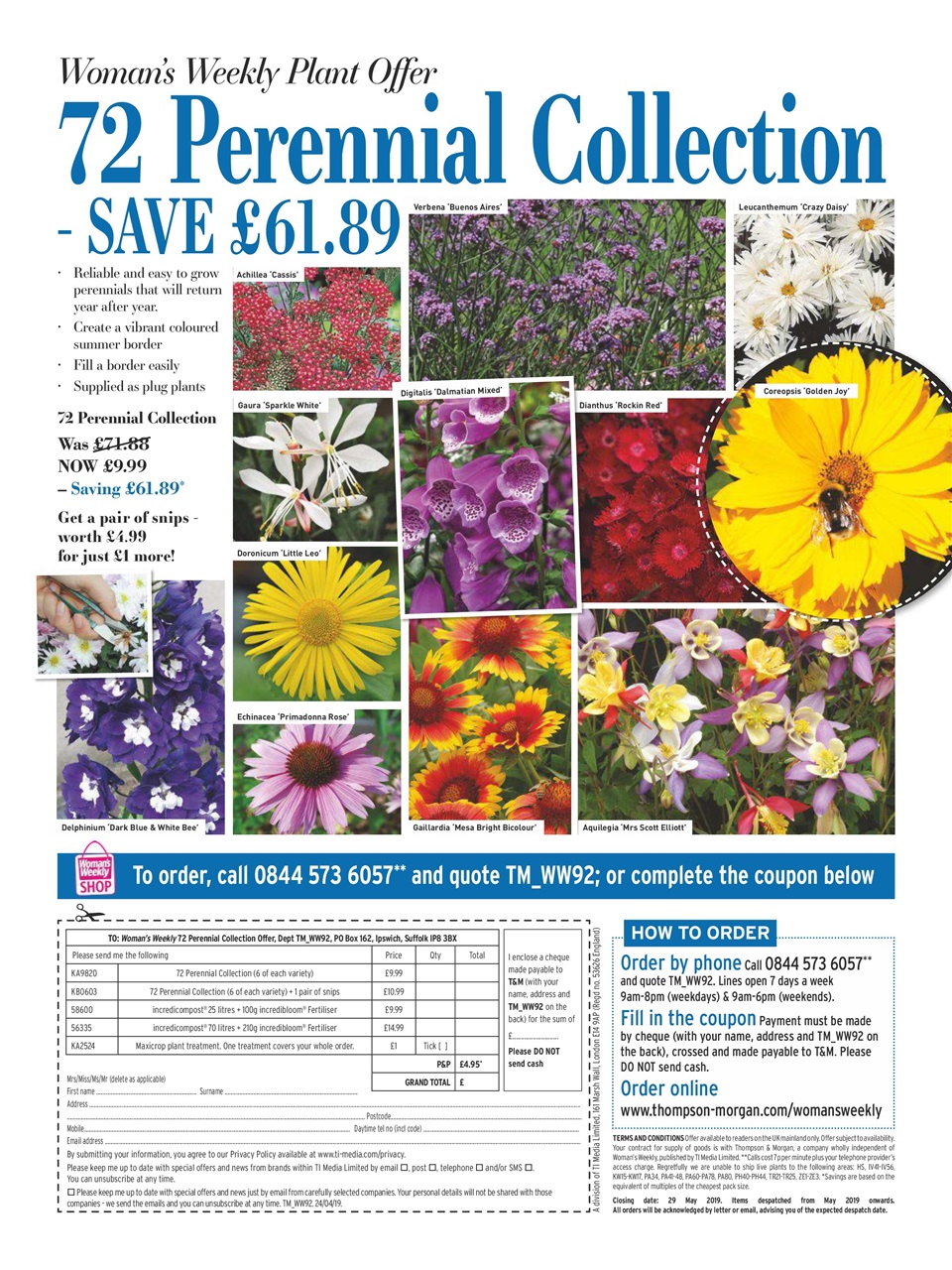 Woman's Weekly Preview Pages