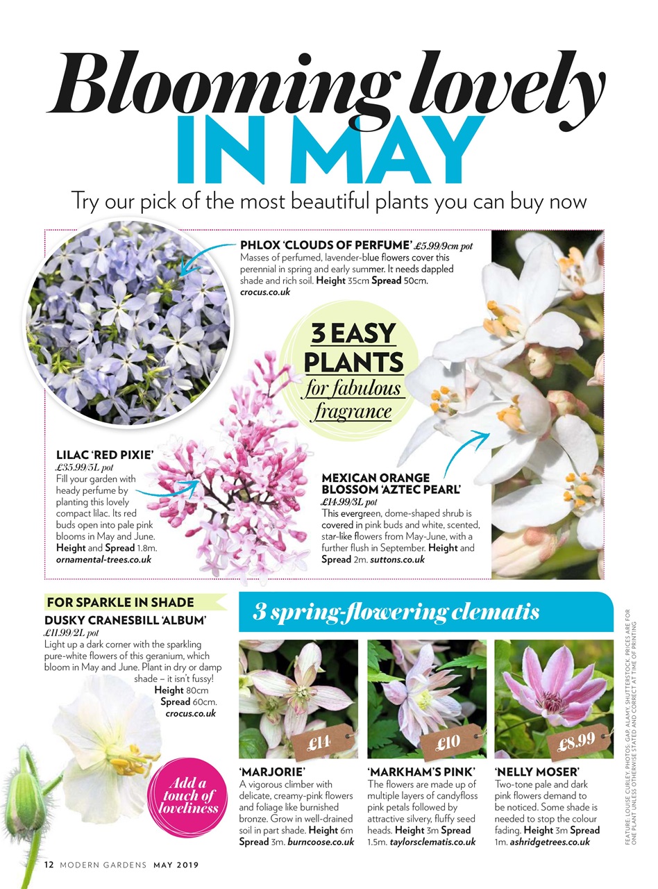 Modern Gardens Preview Pages