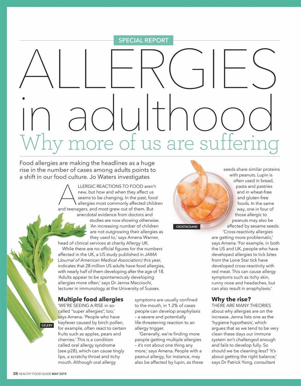 Healthy Food Guide Preview Pages