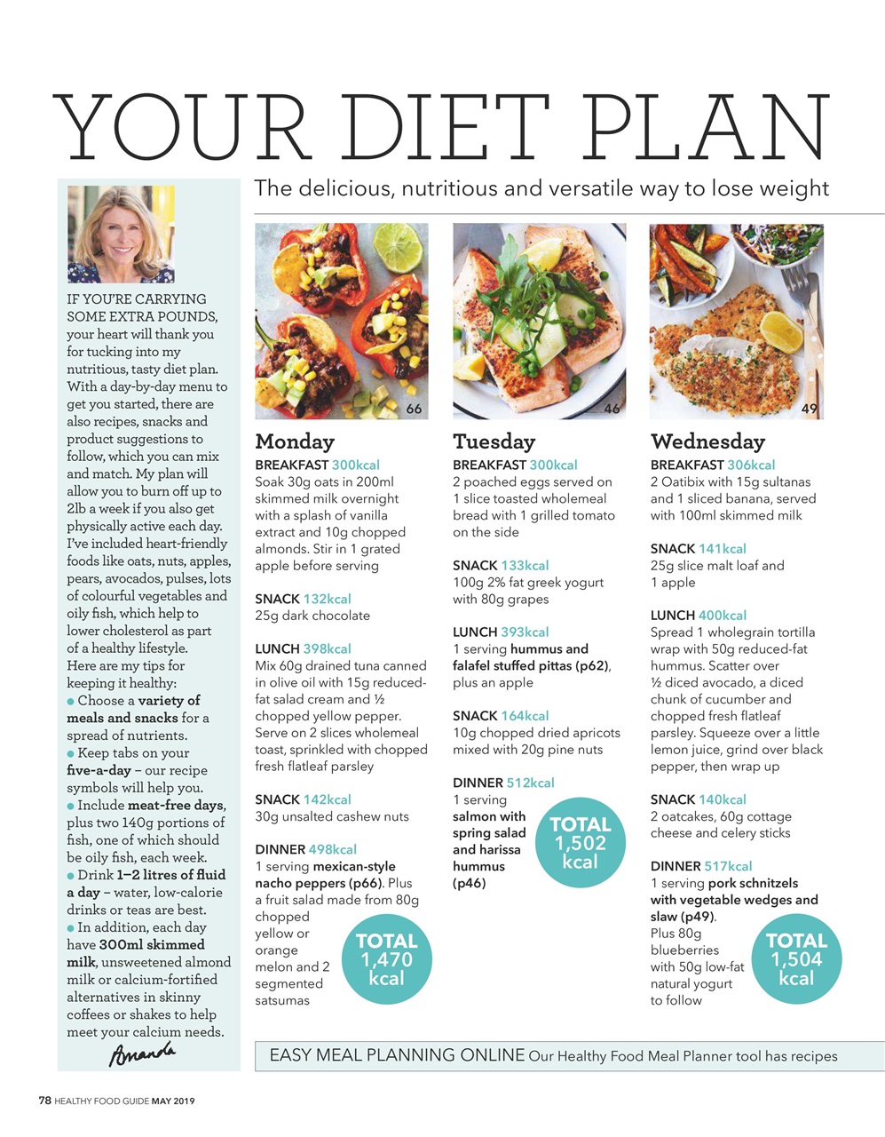 Healthy Food Guide Preview Pages