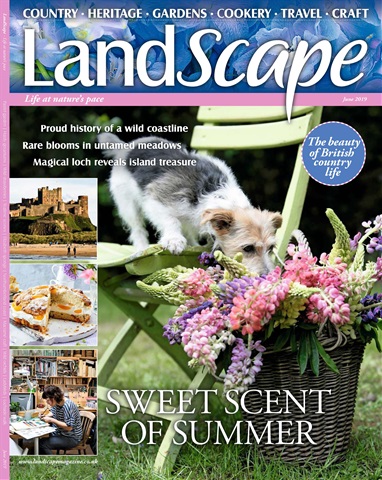LandScape issue June 2019