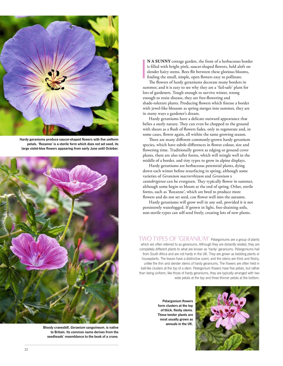 LandScape Preview Pages