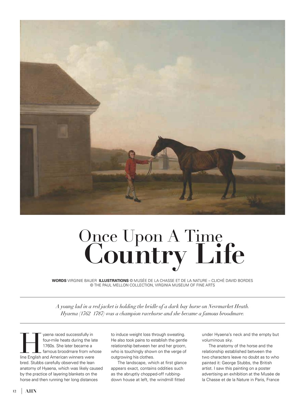 Australian Arabian Horse News Preview Pages