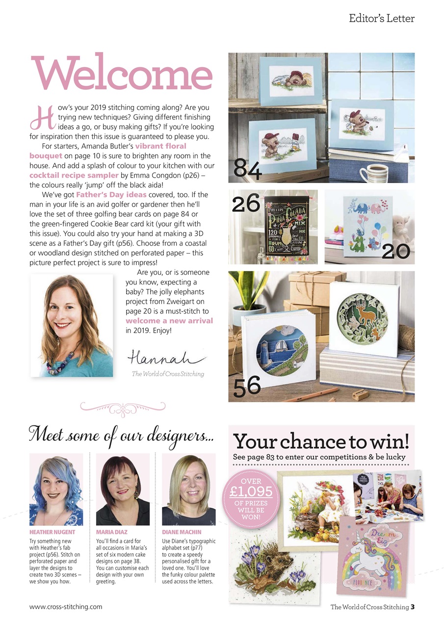 The World of Cross Stitching Preview Pages