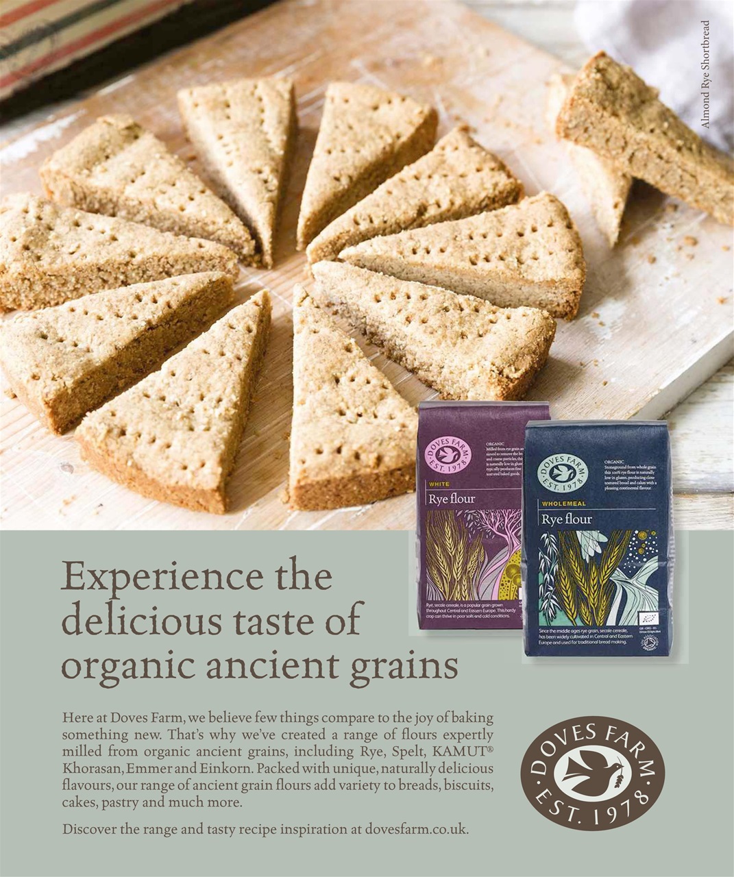 Olive Magazine Preview Pages