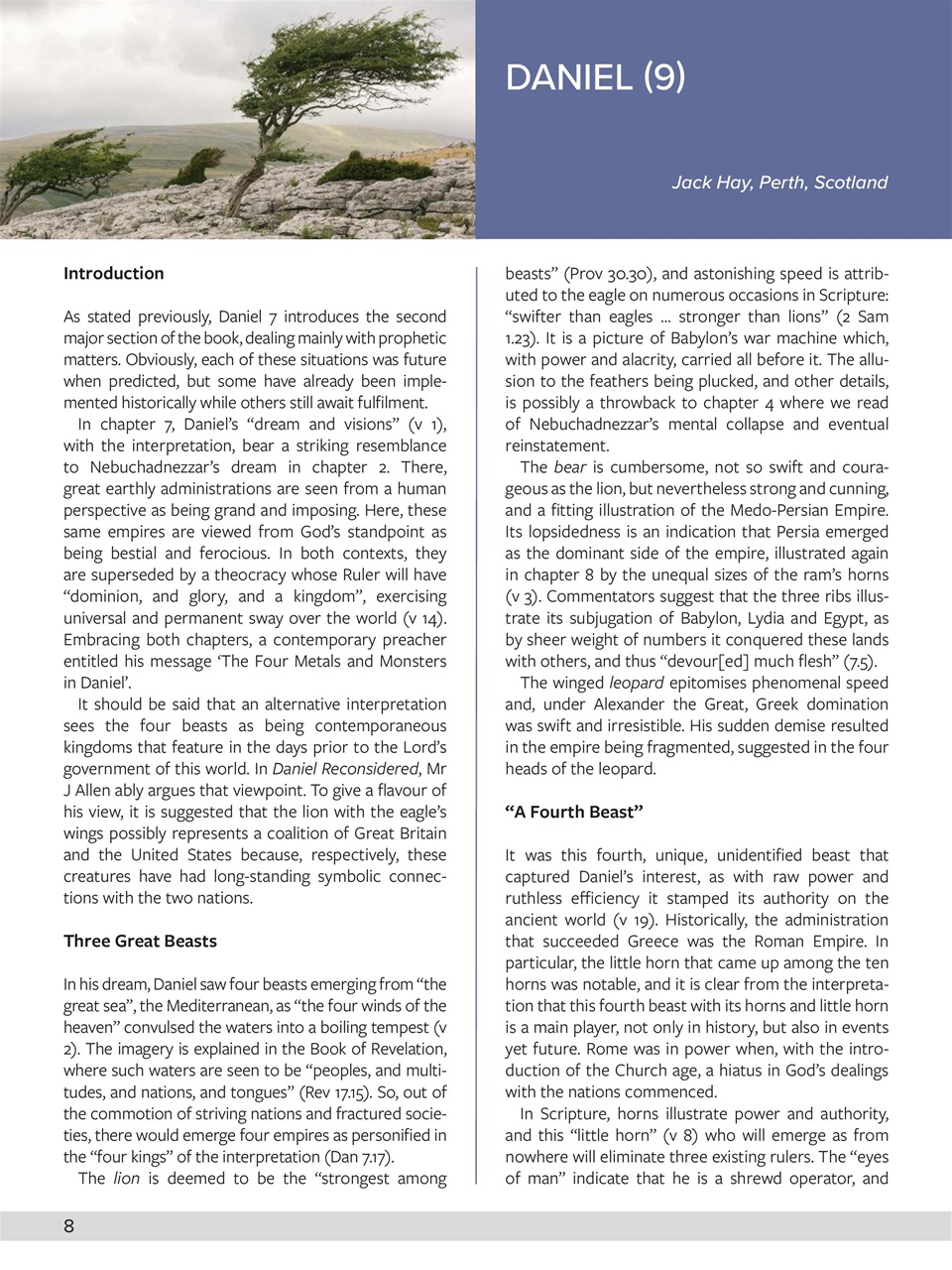 Believer Magazine Preview Pages