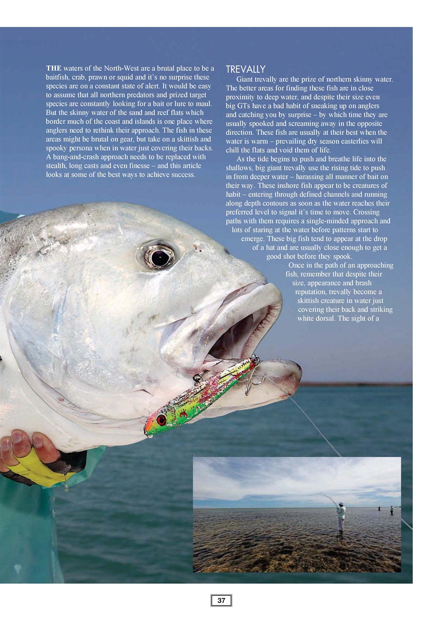 Western Angler Preview Pages