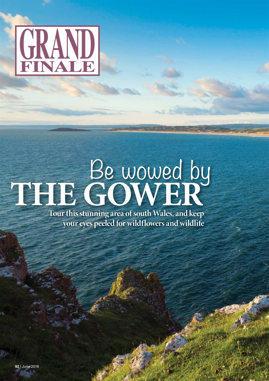 Caravan Magazine Preview Pages