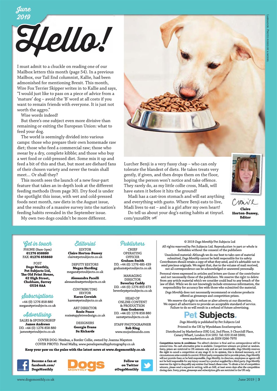 Dogs Monthly Preview Pages