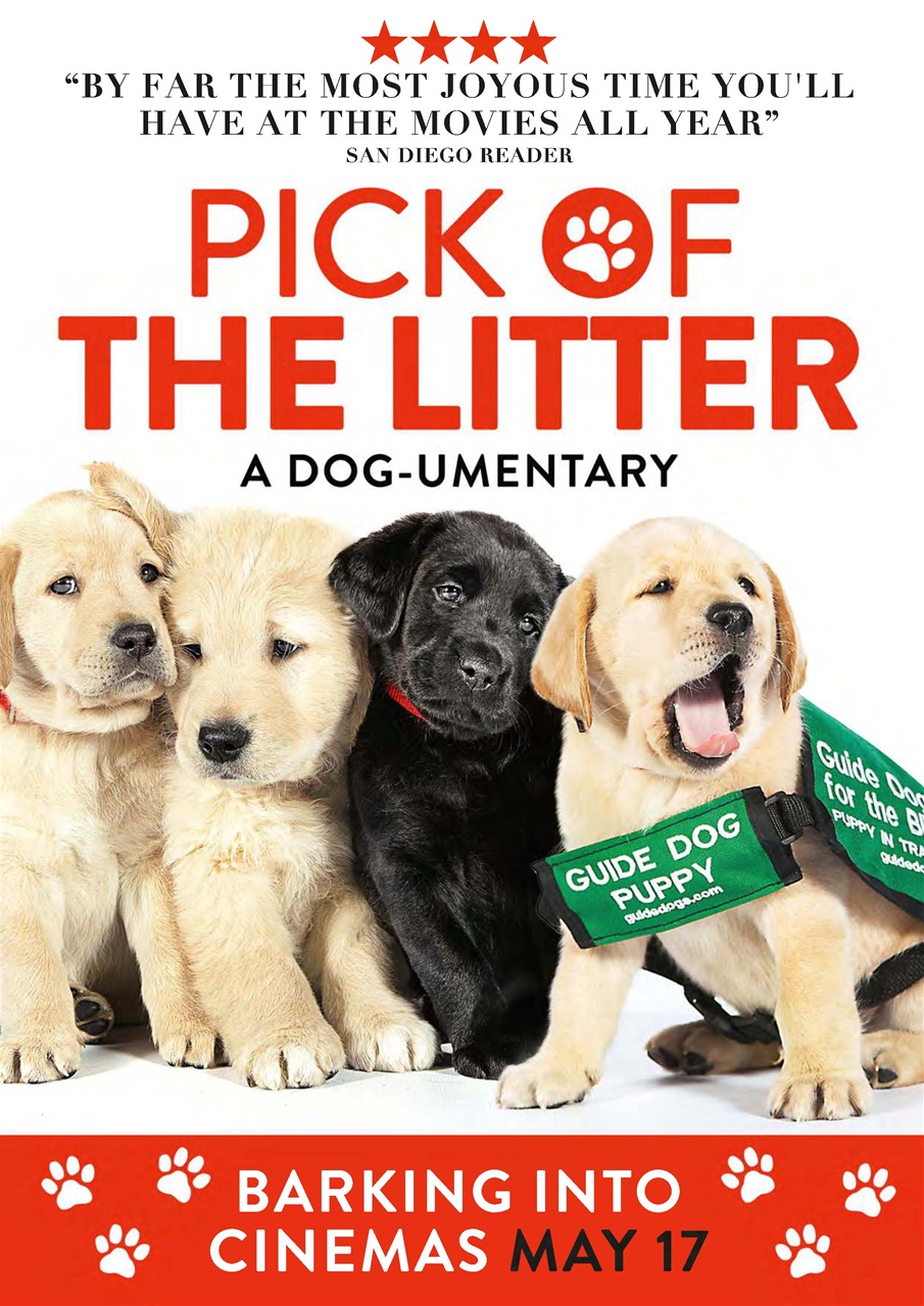 Dogs Monthly Preview Pages