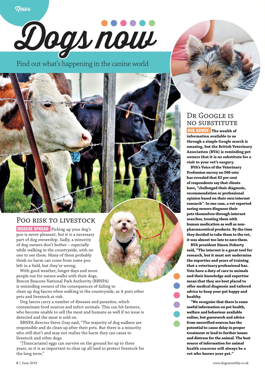 Dogs Monthly Preview Pages