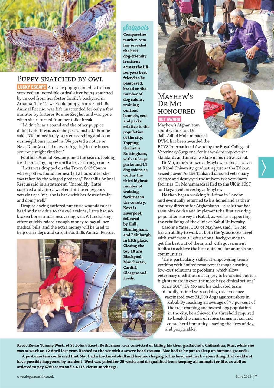 Dogs Monthly Preview Pages