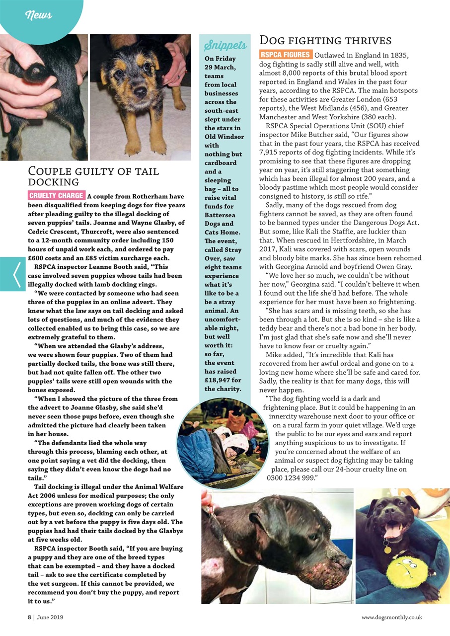 Dogs Monthly Preview Pages