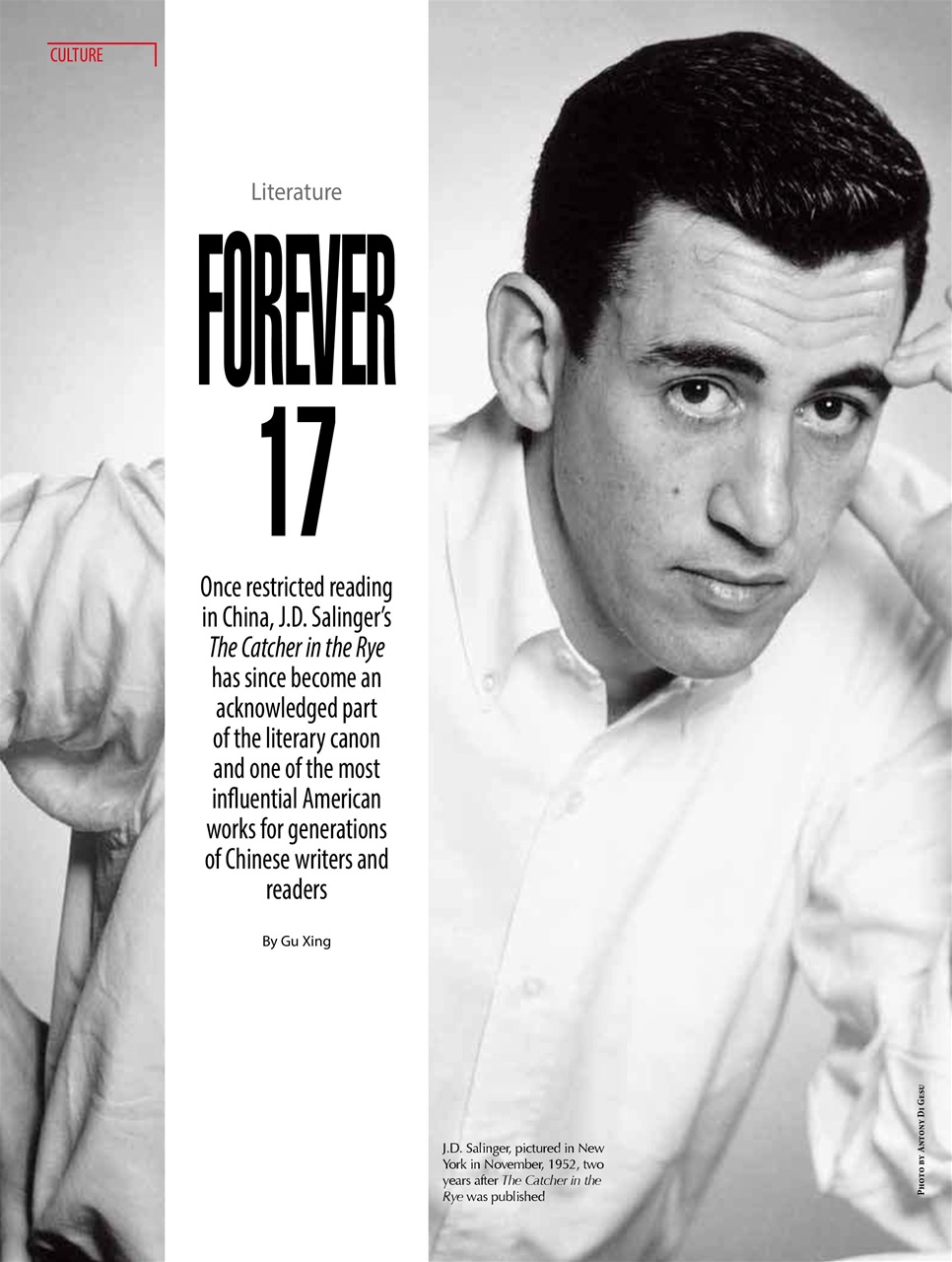 China Report Preview Pages