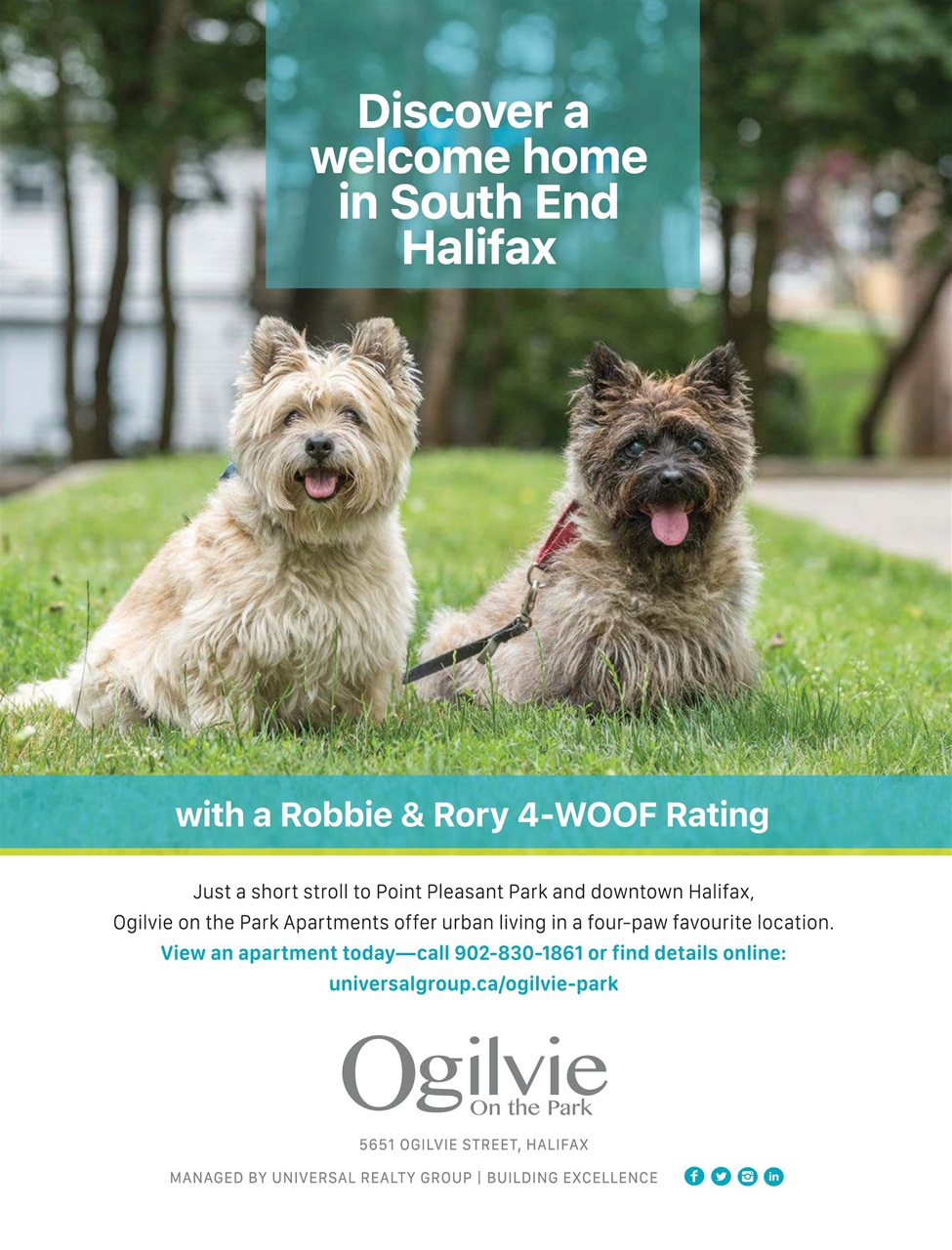 Halifax Magazine Preview Pages