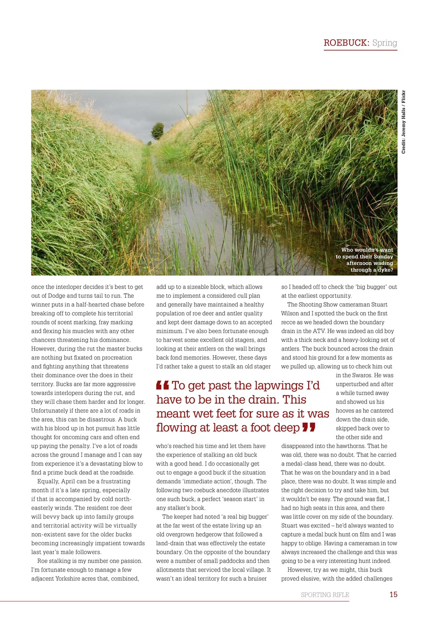 Sporting Rifle Preview Pages