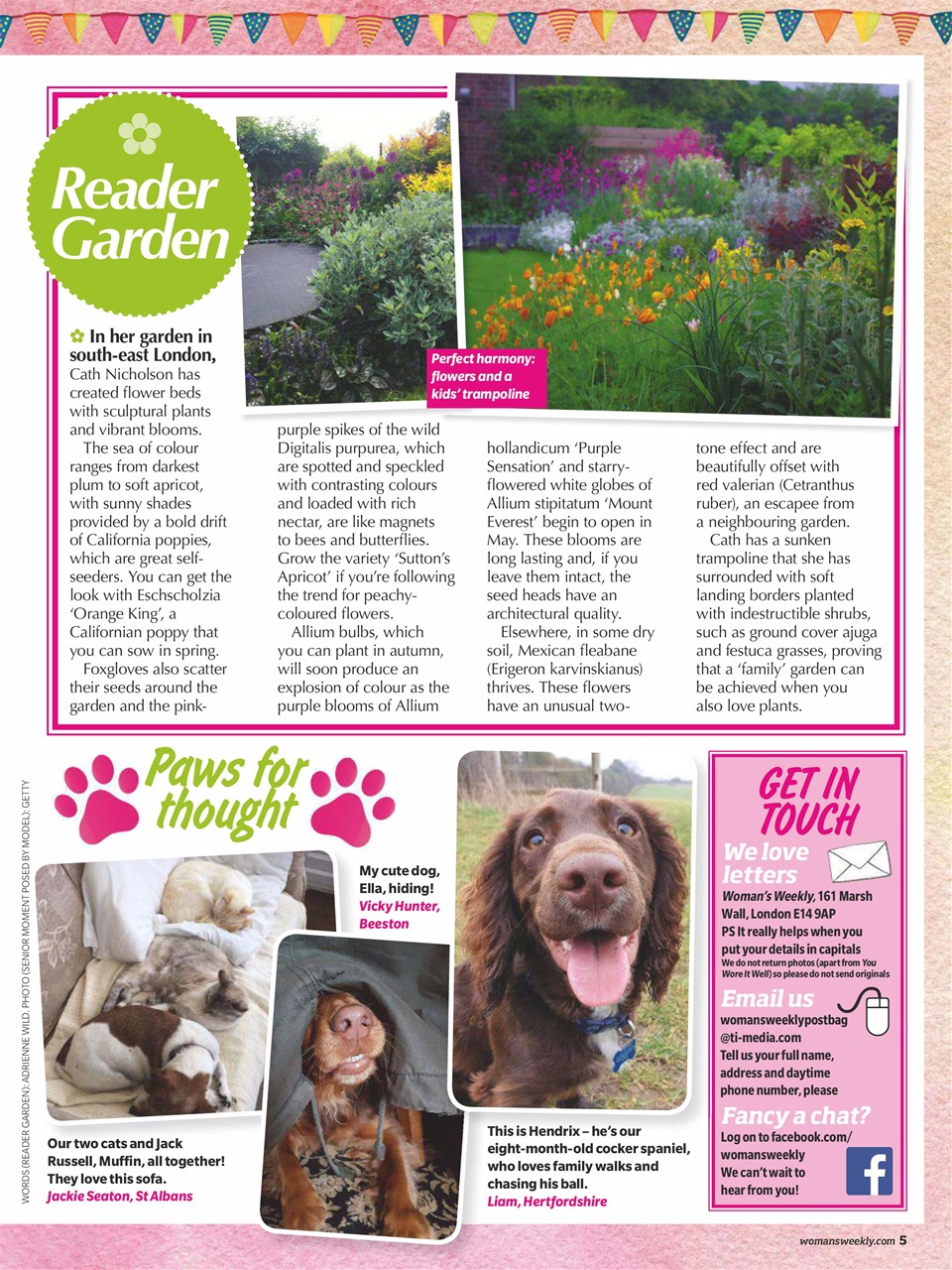 Woman's Weekly Preview Pages