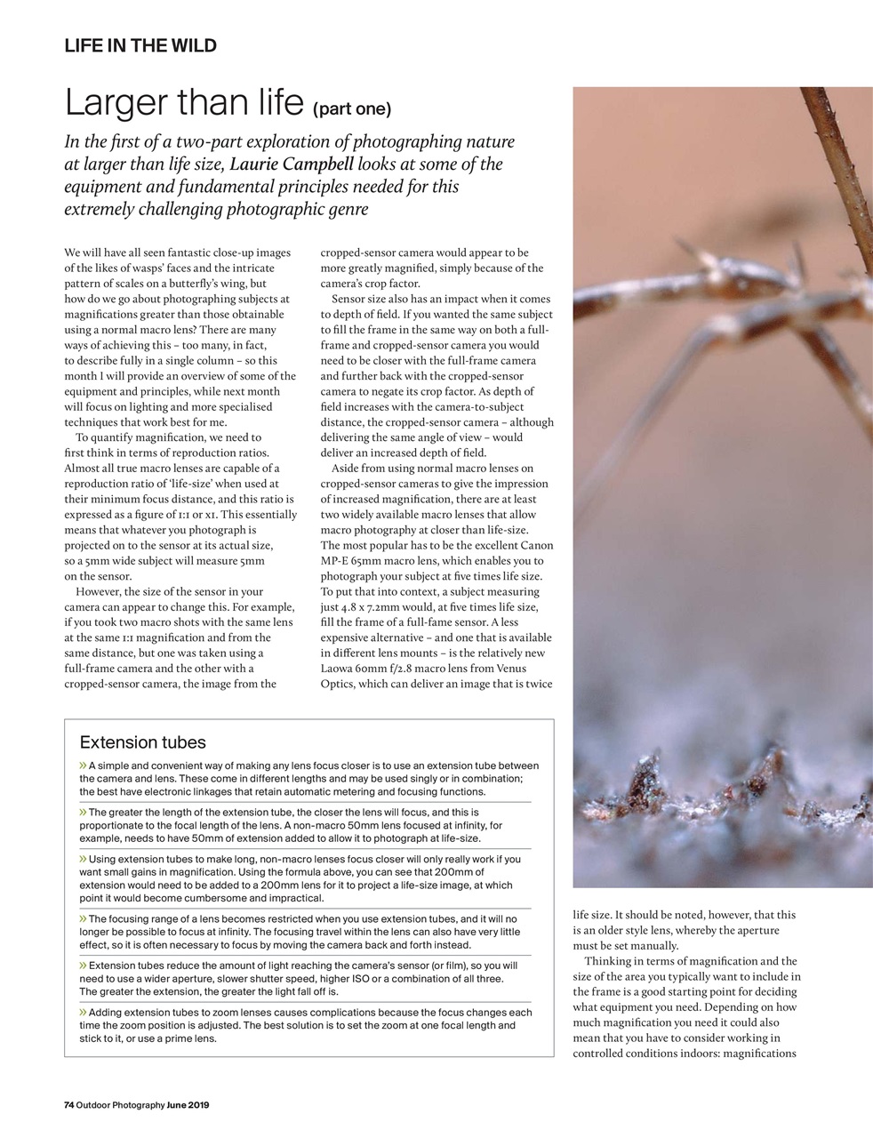 Outdoor Photography Preview Pages