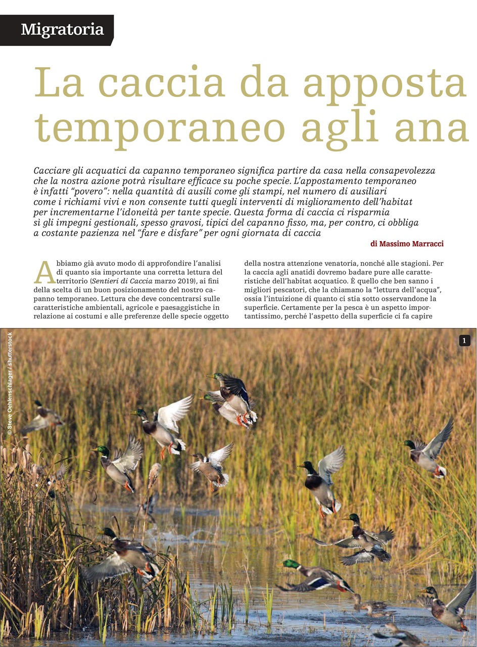 SENTIERI DI CACCIA Preview Pages