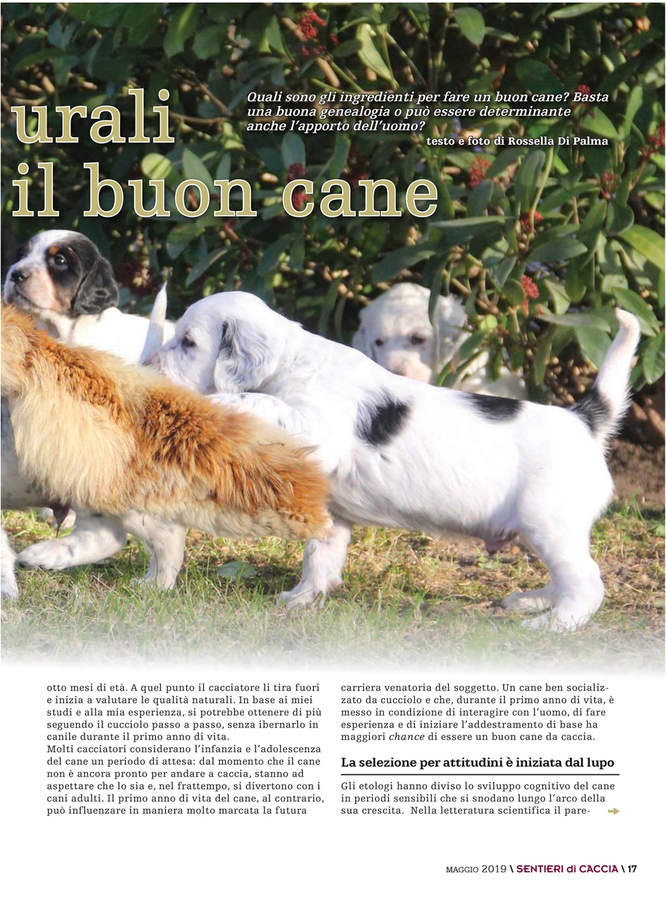 SENTIERI DI CACCIA Preview Pages