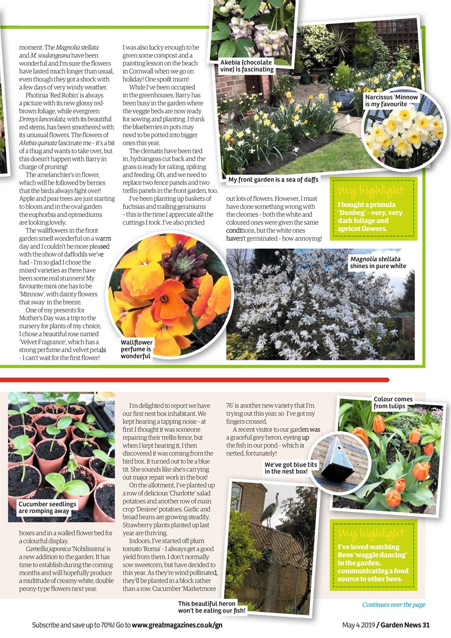 Garden News Preview Pages