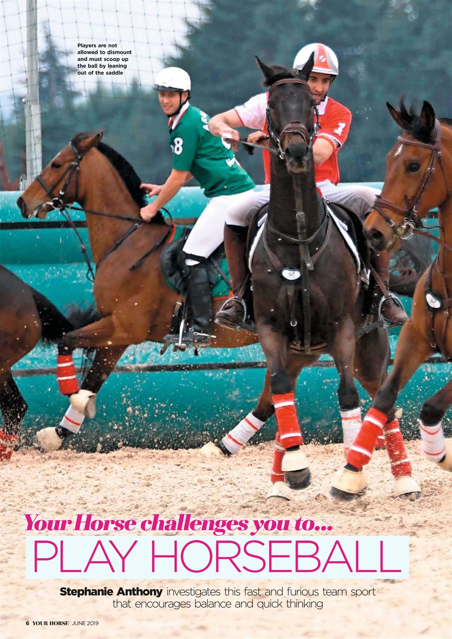 Your Horse Preview Pages