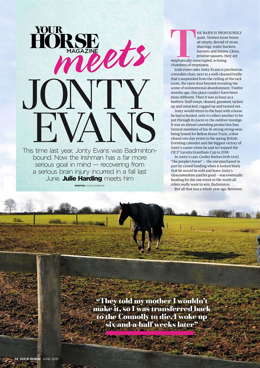 Your Horse Preview Pages