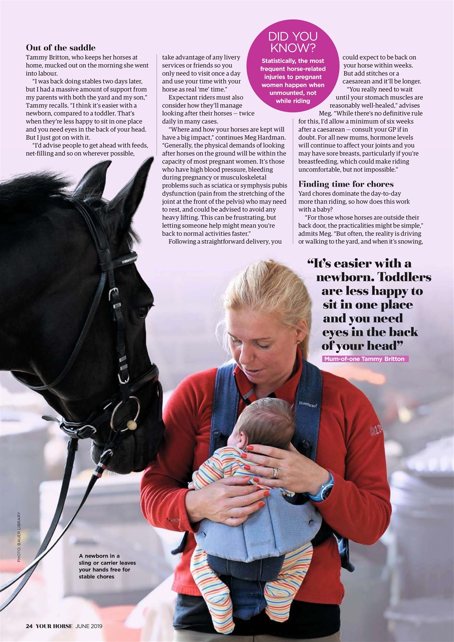 Your Horse Preview Pages