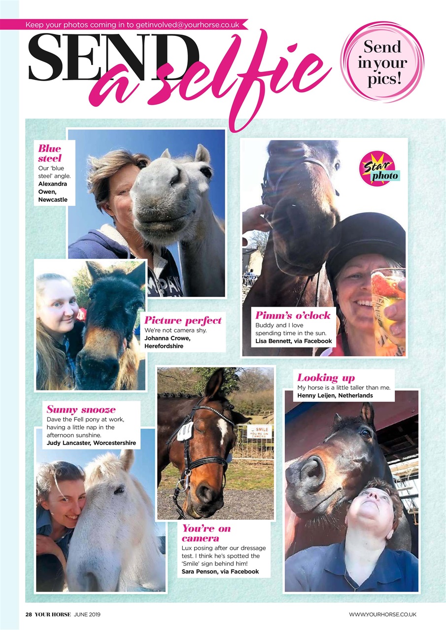 Your Horse Preview Pages