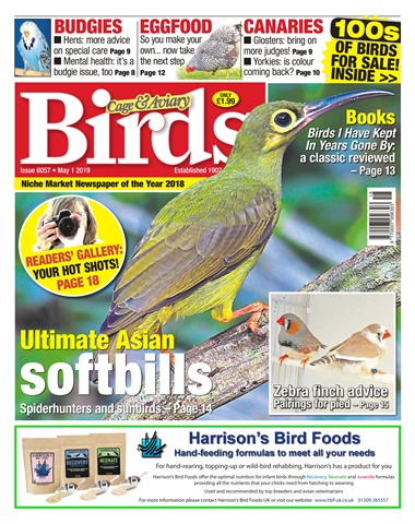 Cage & Aviary Birds issue 01/05/2019
