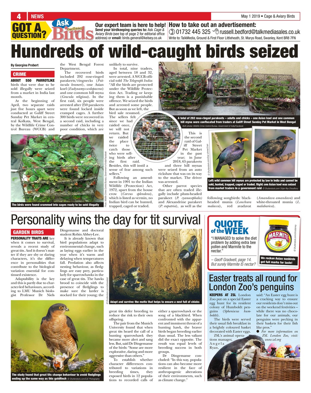 Cage & Aviary Birds Preview Pages