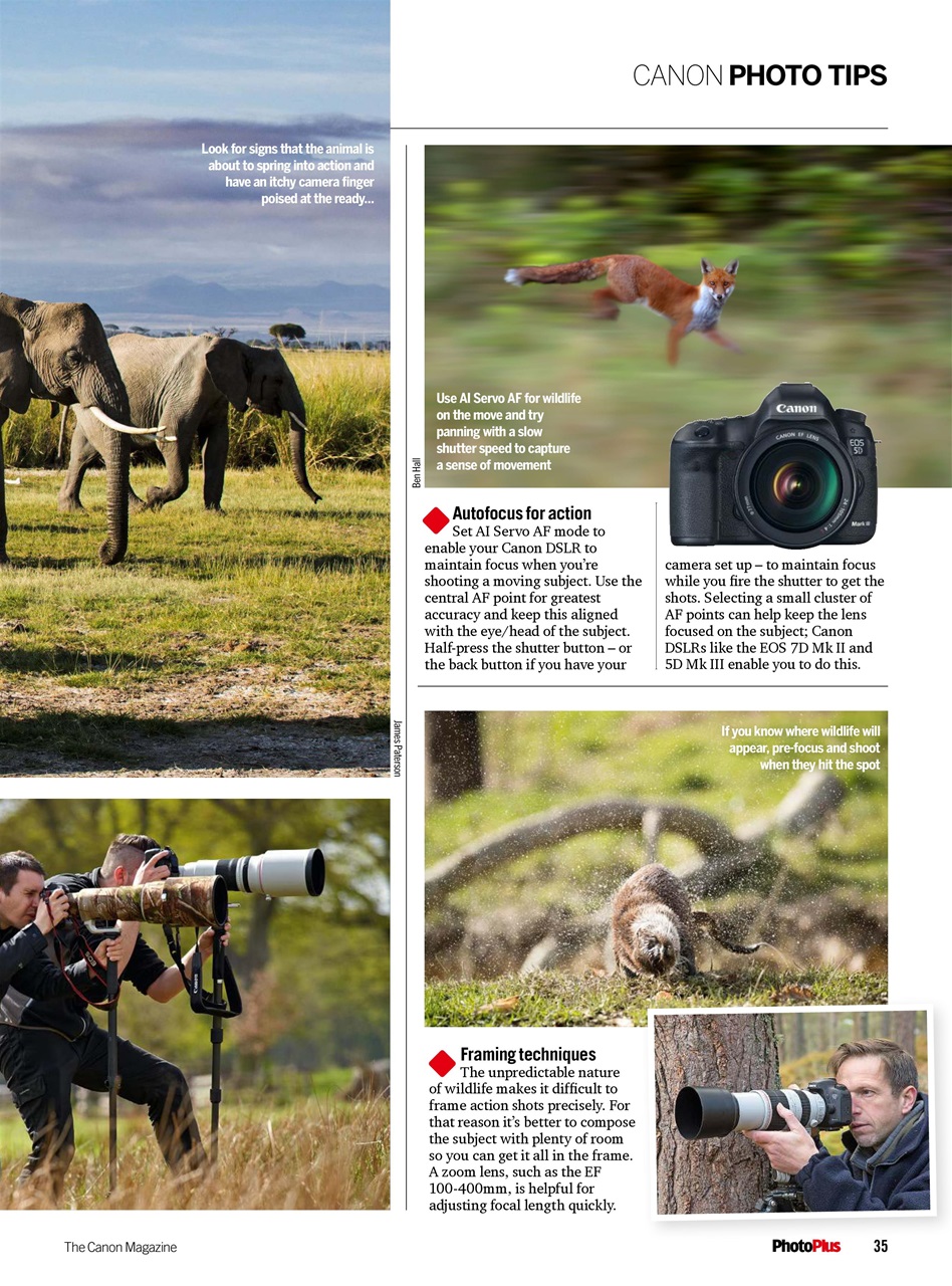 PhotoPlus Preview Pages
